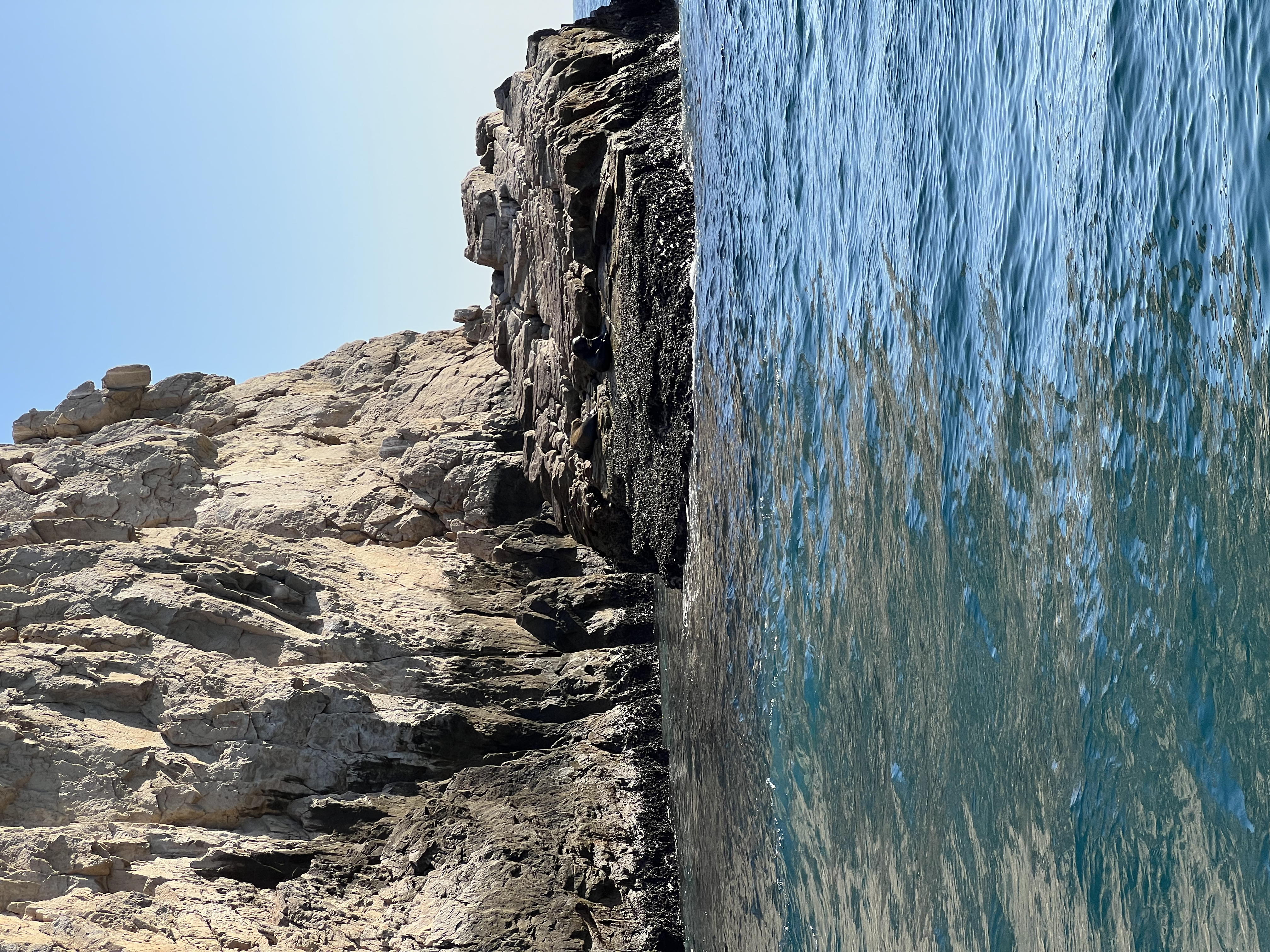 ./2024/13 - Cabo/IMG_4644.jpg